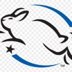 Leaping Bunny